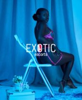 Roma Massage Therapist