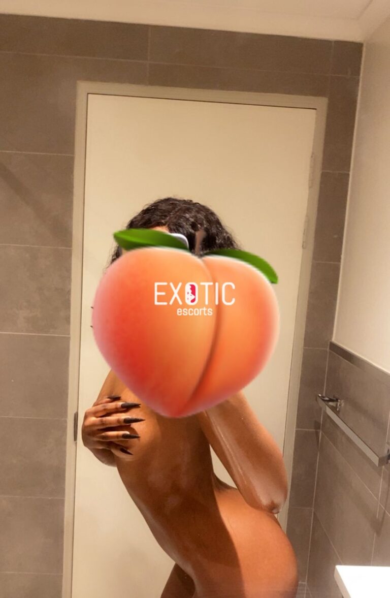 17646876739629.mp4