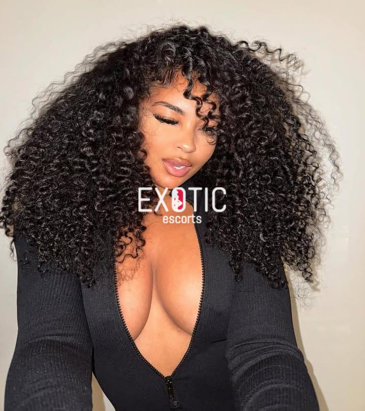 premium escorts zambia